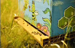 Biodiversité