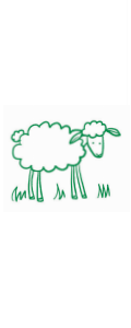 Mouton