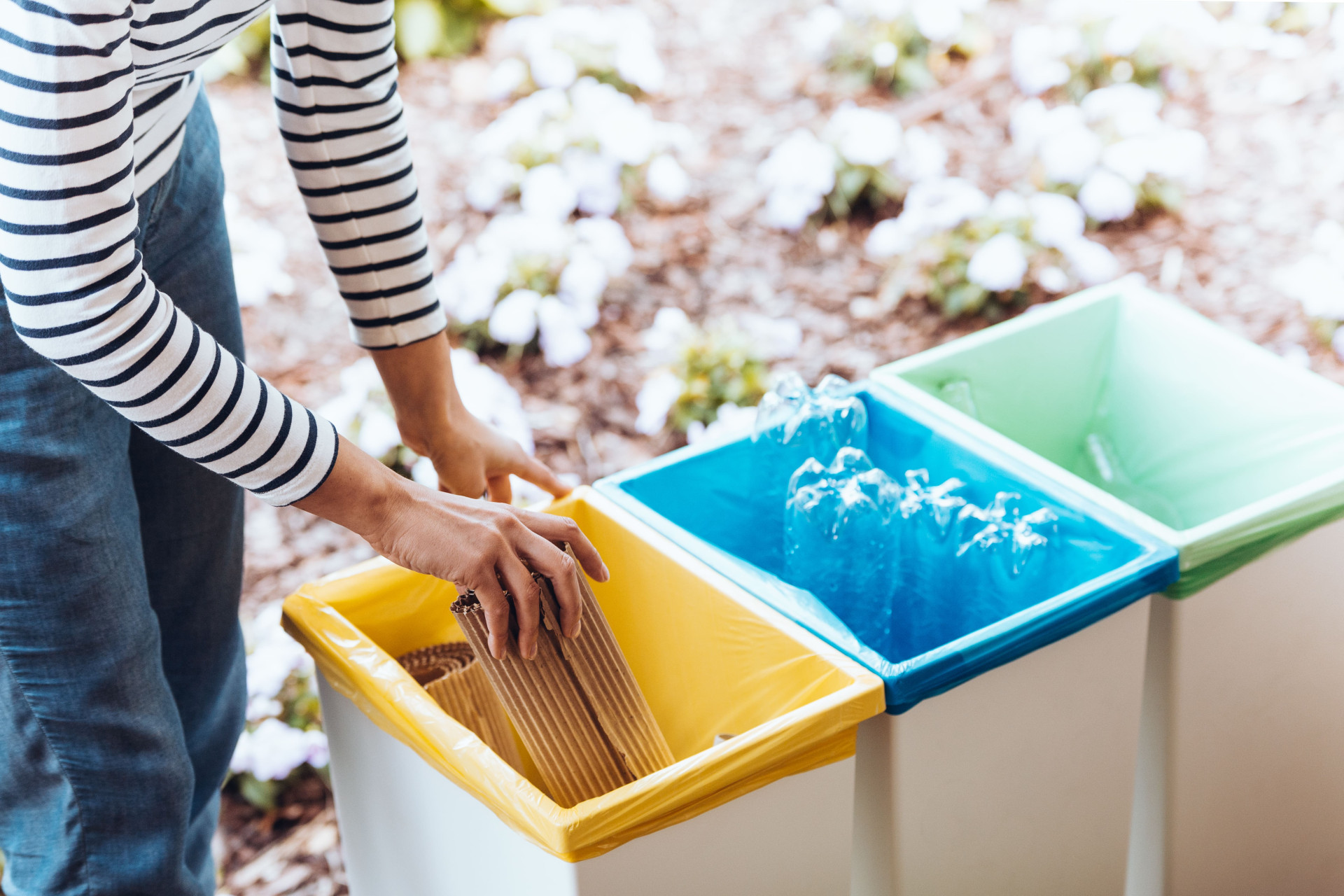 couleurs poubelles