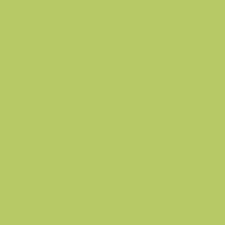 Finitions corps et portes en Vert Anis
