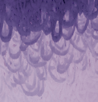 Finitions en Violet/Lilas